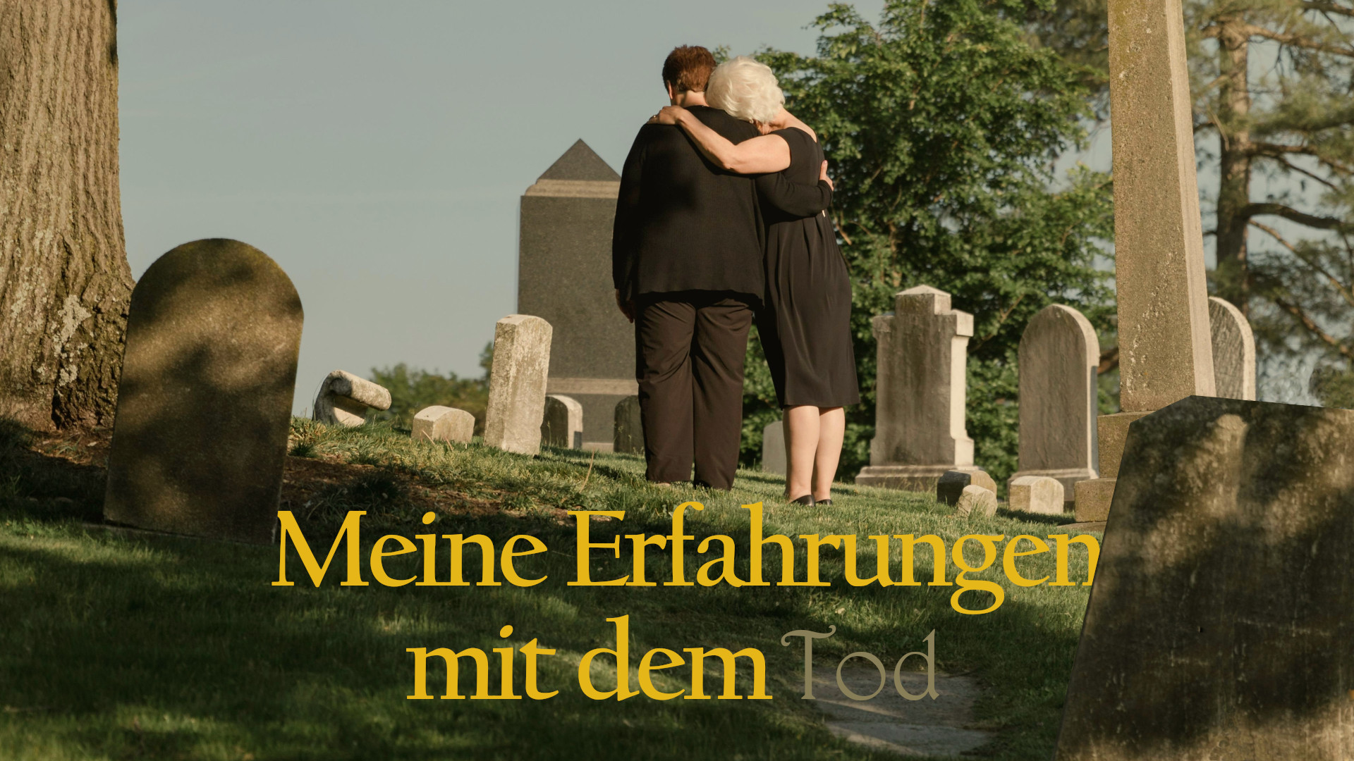 Symbolfoto. Bildquelle: pexels-rdne-8865084/ pexels-mikebirdy-116909 von pexels.com/ Eigene