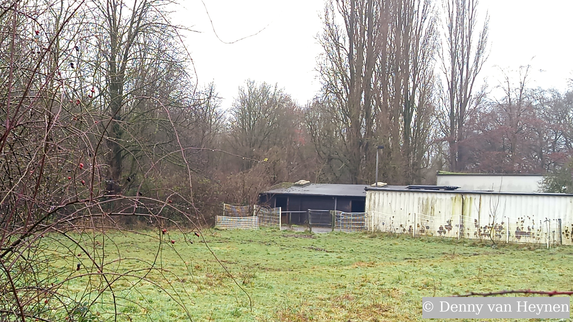 Im rechten Stall lebte der Wallach. Nach seinem Tod wurde ein weißes Zaunelement abmontiert.